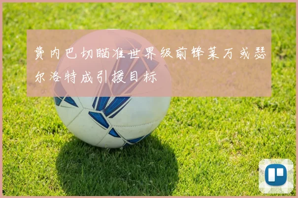 费内巴切瞄准世界级前锋莱万或瑟尔洛特成引援目标