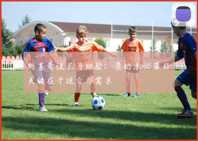 约基奇谈买马经验：贵的未必最好关键在于适合与需求